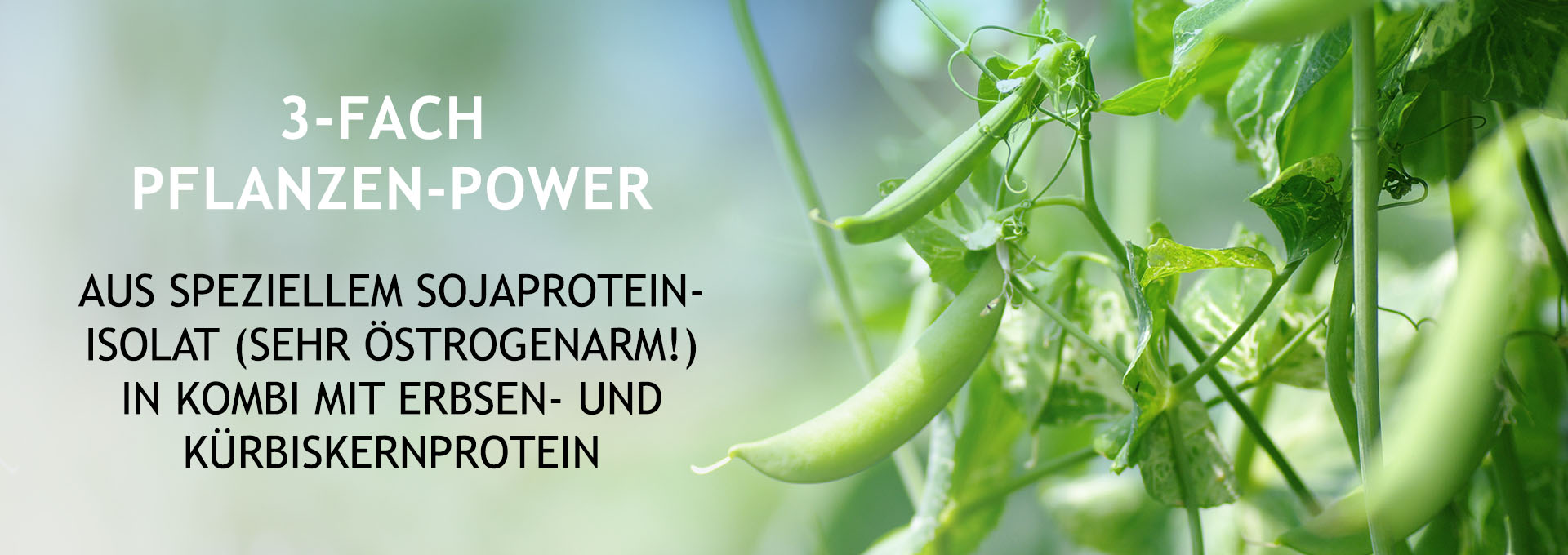 srs veganprotein feature 01 desktop
